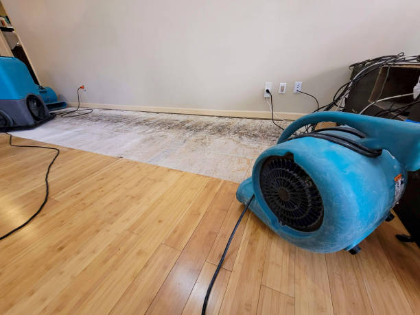 Professional Structural Drying technician working in Enterprise, UT